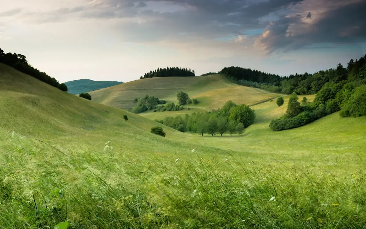 További Információk Szolgáltatásainkról